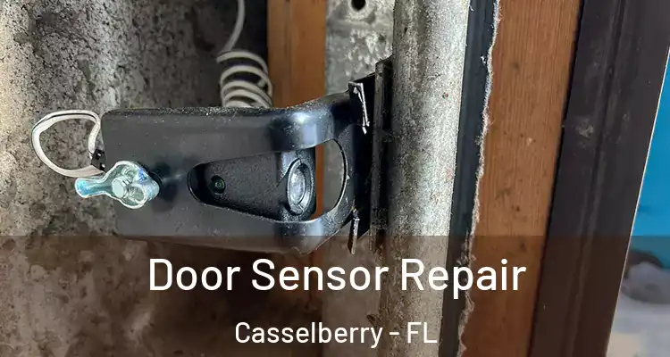  Door Sensor Repair Casselberry - FL