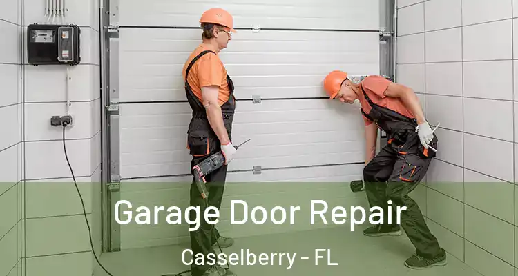  Garage Door Repair Casselberry - FL